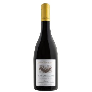 Trentino Sauvignon Blanc